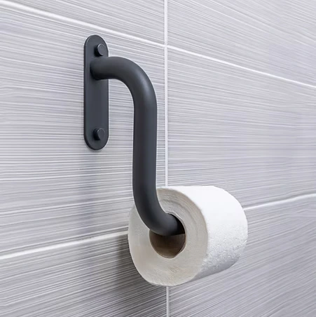 A toilet roll holder with grab rail hold loo roll